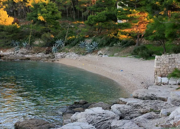 Studio Vis 8843a Daire