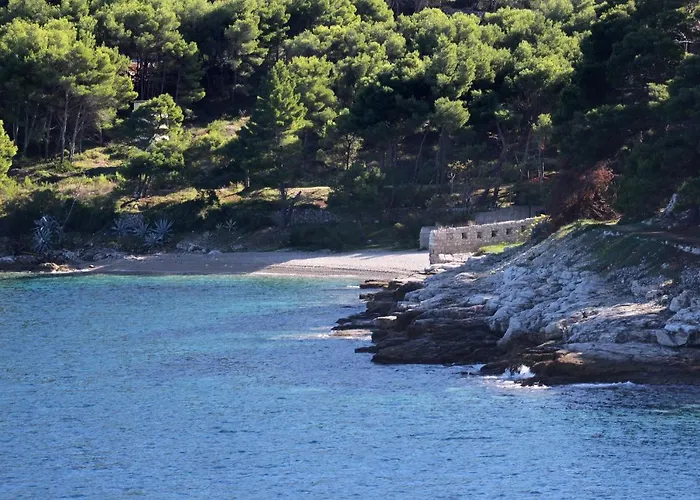 Studio Vis 8843a * Vis